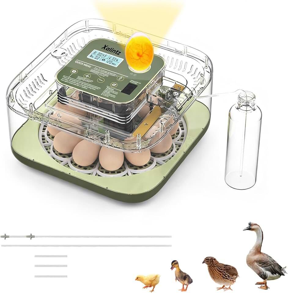 Automatic 12 Egg Incubator - Digital Temperature/Humidity Display, Hatch Day Countdown, Auto Egg Turner & Candler with 360° View for Hatching Chicken, Duck, Quail Eggs