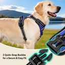 PHOEPET No Pull Dog Harnesses for Small Puppies Reflective Adjustable Front Clip Vest with 2 Metal Leash Attachment Hooks Soft Handle [Over The Head Design](L, Royal Blue)