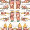 Reflexology Poster (22 x 28 inches): Laminated QuickStudy Anatomy Reference