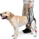 ROZKITCH Dog Lift Harness, Pet Rear Support Aid Veterinarian Approved Sling for Old K9 Help with Poor Stability, Back Leg Hip Disabled Joint Injury Elderly Arthritis ACL Rehabilitation Rehab Grey Medium