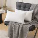 Oubonun 16 x 24 Pillow Inserts (Set of 2) - Lumbar Pillow with 100% Cotton Cover - Rectangle Square Interior Sofa Pillow Inserts - Decorative Pillow Insert Pair - White Couch Pillow