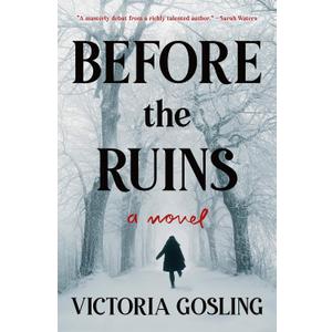 Before the Ruins: A Novel