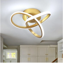 CANEOE Modern Led Ceiling Light Fixture, 6000K Gold Led Hallway Light Fixtures Ceiling Lamp for Hallway Bedroom Bathroom Kitchen Balcony Stair Aisle Ceiling Lamp Curved Design (Gold, 6000K)