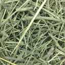 Oxbow Western Timothy Hay for Small Pets  All-Natural Grass Hay for Rabbits, Guinea Pigs, and Chinchillas  High Fiber for Digestive Health and Dental Support  40 oz Bag (EXP 05/14/26)