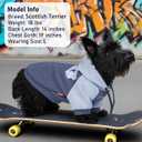 KYEESE Dog Hoodie Stretchy Cat Coat with Leash Hole Soft Dog Clothes for Small Dogs Pet Sweatshirt with Drawstring Dogs Winter Coat for Cold Weather Comfort Cat Sweater Warm Pet Clothes