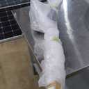 PENN 10’ Pursuit IV 2-Piece Fishing Rod and Reel (Size 4000) Surf Spinning Combos, 10’, 2 Graphite Composite Fishing Rod with 5 Reel, Durable and Lightweight, Black/ Silver