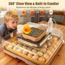 Nest IV - 48 Egg Incubator for Breeders, Fully Automated, Accurate Humidity & Temp Control, Chick Separator, Flexible Egg Spacing, Custom Incubation Days, Auto Turning & Auto Stop, Easy Monitoring