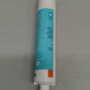 GE RPWFE Refrigerator Water Filter, Genuine Replacement Filter, Certified to Reduce Lead, Sulfur, and 50+ Other Impurities, Replace Every 6 Months for Best Results, Pack of 1