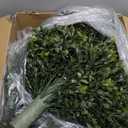 2 Pack Artificial Boxwood Topiary Ball 24'' Faux Boxwood Tree with Ground Spike UV Resistant Evergreen Bush Fake Outdoor Plants for Front Door Porch Garden Yard Wedding Indoor Decor