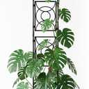 Trellis for Climbing Plants Indoor Outdoor, 24 Rifny Tall Garden Trellis Flower Rose Cucumber Trellis for Vines Pea Support, Wall Large Plant Trellis Fence with Plastic Plastic Screen Frame, 6.2 FT