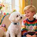 DOGWONG Easter Dog Collar-Cute Blue Easter Bunny Dog Collar, Easter Egg &Rabbit Pet Collars Puppy Collar Gifts with Quick Release Buckle for Girl&Boy Dogs,L