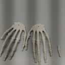 2 Pack Halloween Skeleton Hands Realistic Life Size Severed Plastic Skeleton Hands for Halloween Themed Party Decoration Props(Right & Left)