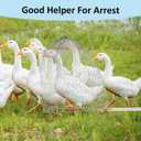 Chicken Catching Net Set 2 Nets with Adjustable 74 Inch Pole, Lightweight Bird & Animal Catcher for Chickens, Ducks, Geese, Fish, Cats Heavy-Duty Nylon Net with Stainless Steel Frame