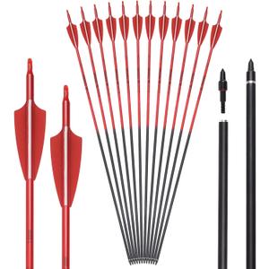 Carbon Arrow Archery 26 28 30inch Hunting Target Practice Arrows for Compound & Recurve Bow Spine 500 with Removable Tips (Pack of 12), 24 inch