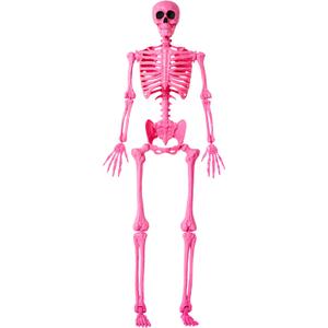 JOYIN 5 FT Halloween Skeleton Life Size, Stayable Posable Pink Skeleton Decor, Full Body Movable Joints Giant Skeletons for Halloween Decoration, Spooky Scary Graveyard Party, Haunted House Prop