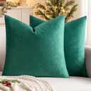 MIULEE Pillow Green (45*45*2)