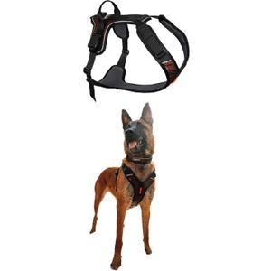 Non-stop dogwear Rock Harness Adjustable Dog Harness for Small Dogs with 3 Leash Clips, Handle and Reflective, Black/Orange, Size S