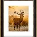 AUEAR,16x20 Picture Frame for 11x14 Photo With Mat or 16x20 Prints Without Mat,Vintage Style,Wall Mounting (Black and Ornate Gold)