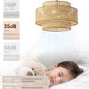 Boho Fandelier Ceiling Fan with Light Rattan Chandelier Fan Remote Gold Caged Ceiling Fan with Light for Bedroom, Living Room Nursery Foyer Kitchen6 Speed, Timing Adjustable Height, Medium