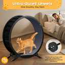 GTRACING Cat Wheels, 40" Diameter, Large Cat Exercise Wheel for Indoor Cats cat Treadmill Metal with Detachable Carpet & Teaser/Stickers, Ultra-Quiet Scroll Wheel with Latch, Safe and Stable, Grey
