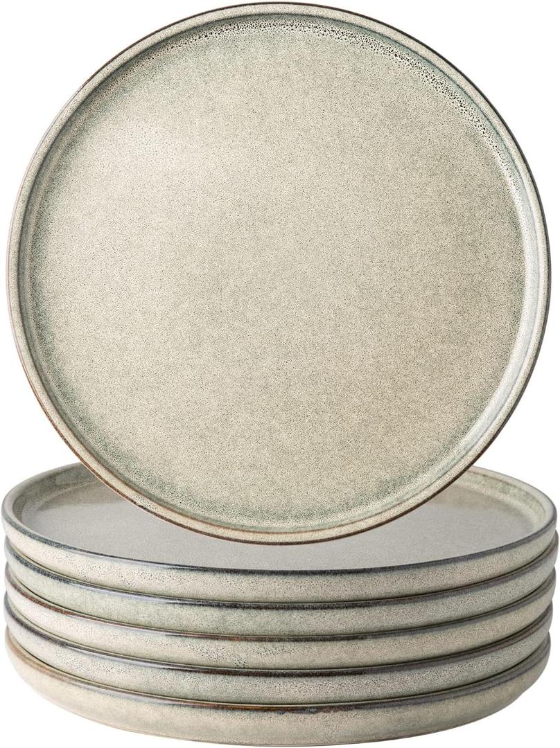 AmorArc Dinner Plates Set of 6, 10.5 Inch Reactive Glaze Ceramic Plates Set, Microwave, Dishwasher Safe, Scratch Resistant, Modern Large Dinnerware Dishes Set Kitchen Stoneware Plates