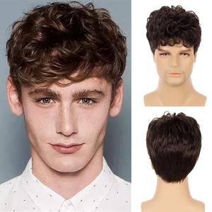 Swiking Men Brown Short Wigs Curly Fluffy Natural Synthetic Hair with Bangs Halloween Daily Full Wig for Male Guy