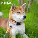 Hikiko Martingale Collar for Dogs Peach Dog Collar for Small Medium Large Dogs Cute Holiday Summer Dog Collars Pet Gift (Peach,Medium)