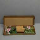 Floroom Artificial Greenery Stems Box Set, 45pcs with 6 Kinds of Faux Greenery Flowers Picks for DIY Bridal Bouquets Wedding Floral Arrangement Table Centerpieces, Dusty Rose & Green