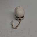 SOACH Resin Skull, 1:1 Human Skull, Human Head Model for Home Decoration, Halloween Statue, Bone Model, Model Anatomical Medical Skeleton, Jaw is Movable (White)