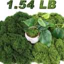 Jollidecor 1.54 LB Fake Moss for Crafts, Artificial Decorative Light Green and Dark Green Faux Moss DIY Fairy Garden Decor for Indoor Decor