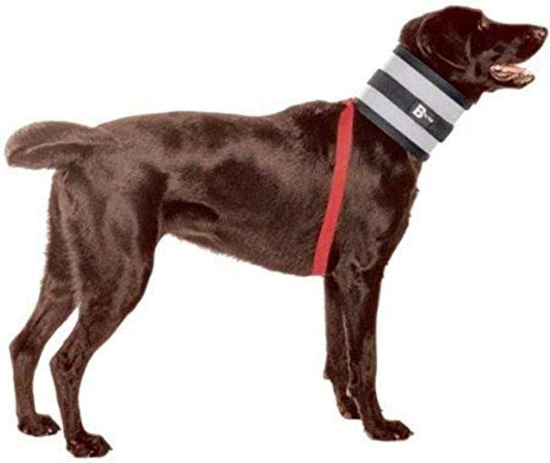 Collar, 5" W x 21" L