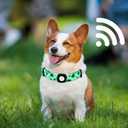 Lionheart glory Airtag Dog Collar Clover Collar for Large Dogs, Green Dog Collar with Airtag Hloder Spring Dog Collar Heavy-Duty Dogs Collar Adjustable