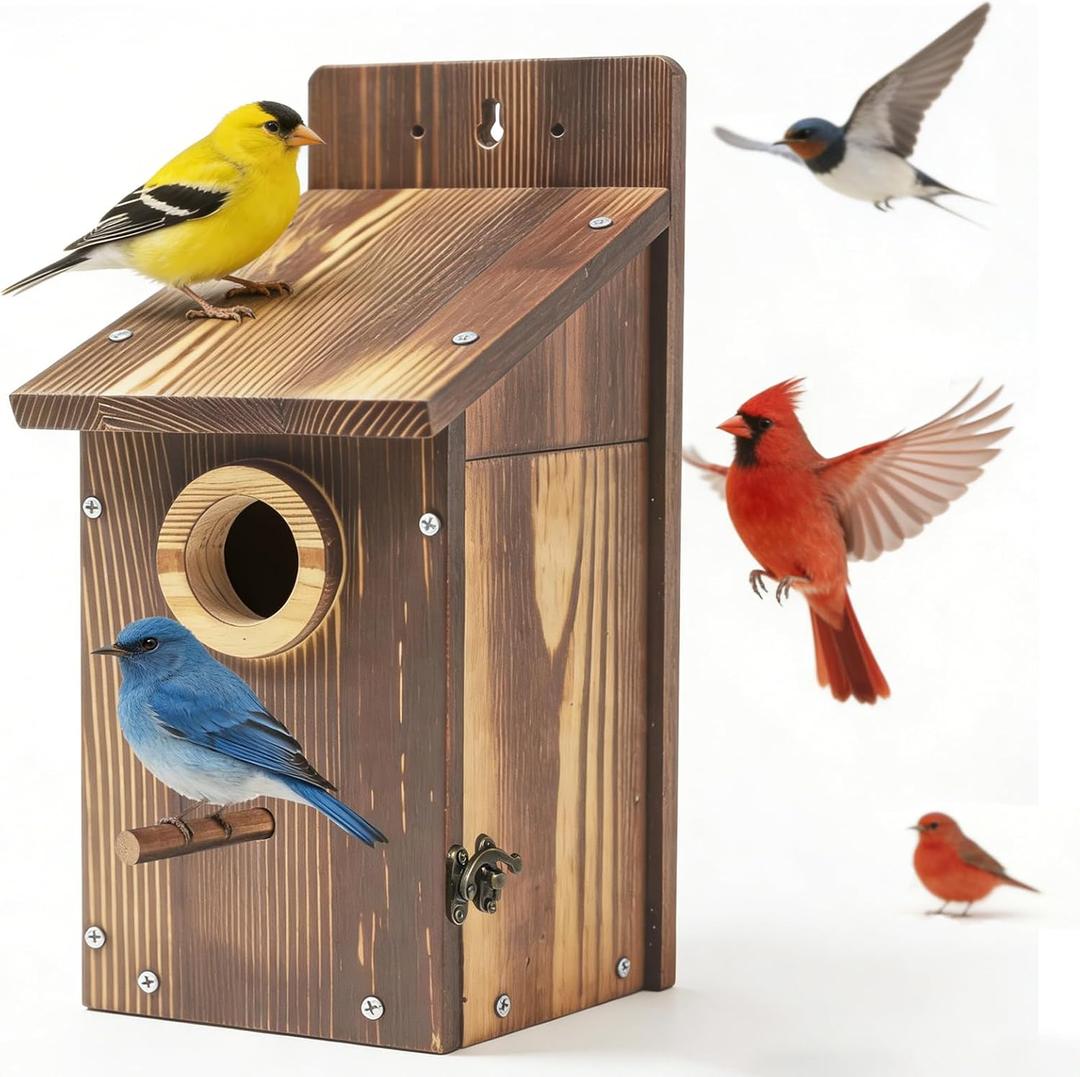 Natural Wood Birdhouse for Outside, Wooden Nesting Box with Circular Entrance Hole and Perch Blue Bird Houses for Outdoors with Clear View Panel & Predator Guard for Blue Robin, Wren, Swallow