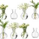 Plastic Propagation Vases (8 Bulbs),Desktop Plant Terrarium for Indoor Plants - Hydroponics Containers for Home Office Desk Decor, mini Gardening Gifts for Women Who Love Plants (8PCS)