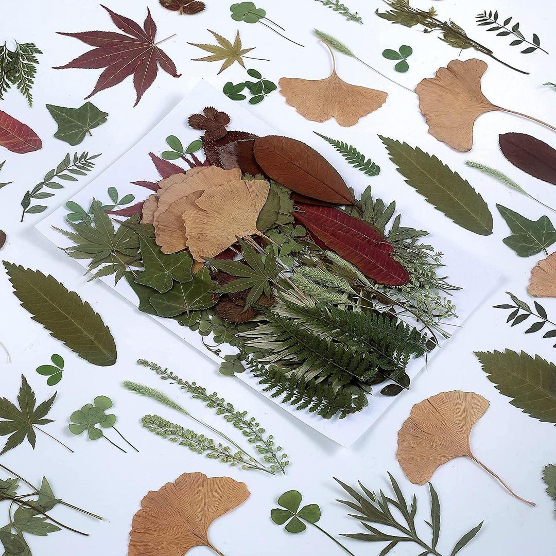 100 PCS Real Dried Pressed Greenery Leaves Natural Plant Herbarium for DIY Resin Mold Jewelry Making Craft (20 Styles)
