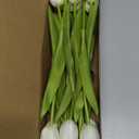 12pcs White Artificial Tulips Silk Faux Flowers Real Touch for Wedding Bouquet, Home Decor, Party Centerpiece, Table Decor, Mother's Day Easter Spring Gifts