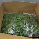 CQURE 240 Pack 1680Ft Artificial Ivy Fake Vines,Ivy Garland Greenery Garland Fake Hanging Plants Vines Aesthetic Green Leaves for Bedroom Wedding Party Garden Wall Room Decor