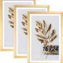16x24 Picture Frame Gold 3 Pcs set can Display on the Wall, 16x24 in-3Pack