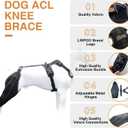 Dog Knee Brace for Torn ACL, Luxating Patella, Arthritis Support, Metal Splint Hinged Leg Brace for CCL Injury, L Size