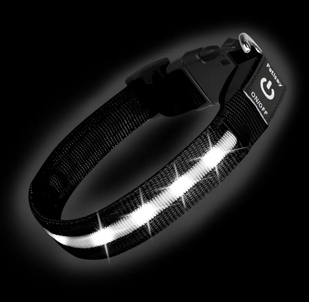 Super Bright LED Dog Collar - Fully Waterproof & Adjustable Glow Collar - USB-C Rechargeable for Night Walking, Safety - Flashing Lighted Collar for Dogs(Medium)