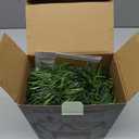 1 Pack LED Christmas Cedar Garland Lighted Artificial Pine Cypress Vines Faux Christmas Evergreen Mantle Fireplace Cascading Garland for Indoor Outdoor Table Stairs Winter Decoration (9 ft)