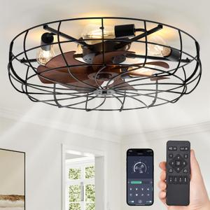 LEDIARY 26" Caged Farmhouse Ceiling Fans with Lights and Remote/App, Black