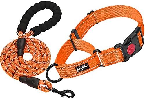haapaw 2 Packs Martingale Dog Collar with Quick Release Buckle Reflective Dog Training Collars for Small Medium Large Dogs