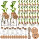 Baderke 48 Pack 3.35'' Plastic Plant Propagation Stations with Hole Lid Planter Vase Clear Propagation Jars with Thank You Tags for Plant Lover Gifts for Women Office Home Garden