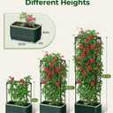2 PackTomato Planter with Trellis, Self Watering Planter Box with Trellis, Vertical Raised Garden Bed Planter for Climbing Vegetables Indoor Outdoor Patio