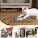 Cat Scratching Board. Cat Scratcher for Indoor Cats with Catnip. Cardboard Cat Scratcher with Mouse Logo and Hanging Ball Toy. Cat Scratch pad with Double-Sided Usability (Pack of 2)