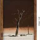 Picture Frames 16x20 Brown Poster Frames without Mat for Wall Vertical or Horizontal Decor