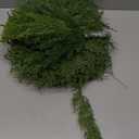 Christmas Pine Placemats Set of 6 16 Inch with Artificial Pine Needles Branches 2 Types 24 Pack Green Plants Fake Cedar Greenery Round Placemats for Table Dining Christmas Decorations