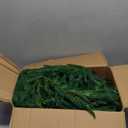 Christmas Garlands Norfolk Pine  6FT Real Touch Mantle Garland, Artificial Greenery for Staircase, Front Door, Fireplace, and Holiday Indoor & Outdoor Decoration(1, 6FT)