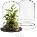 2 Pcs 5.9 x 8.46 Inch Glass Terrarium with Airhole and Base Clear Glass Dome Planter Display Container Plants Not Included for Office Desk, Balcony, Coffee Table